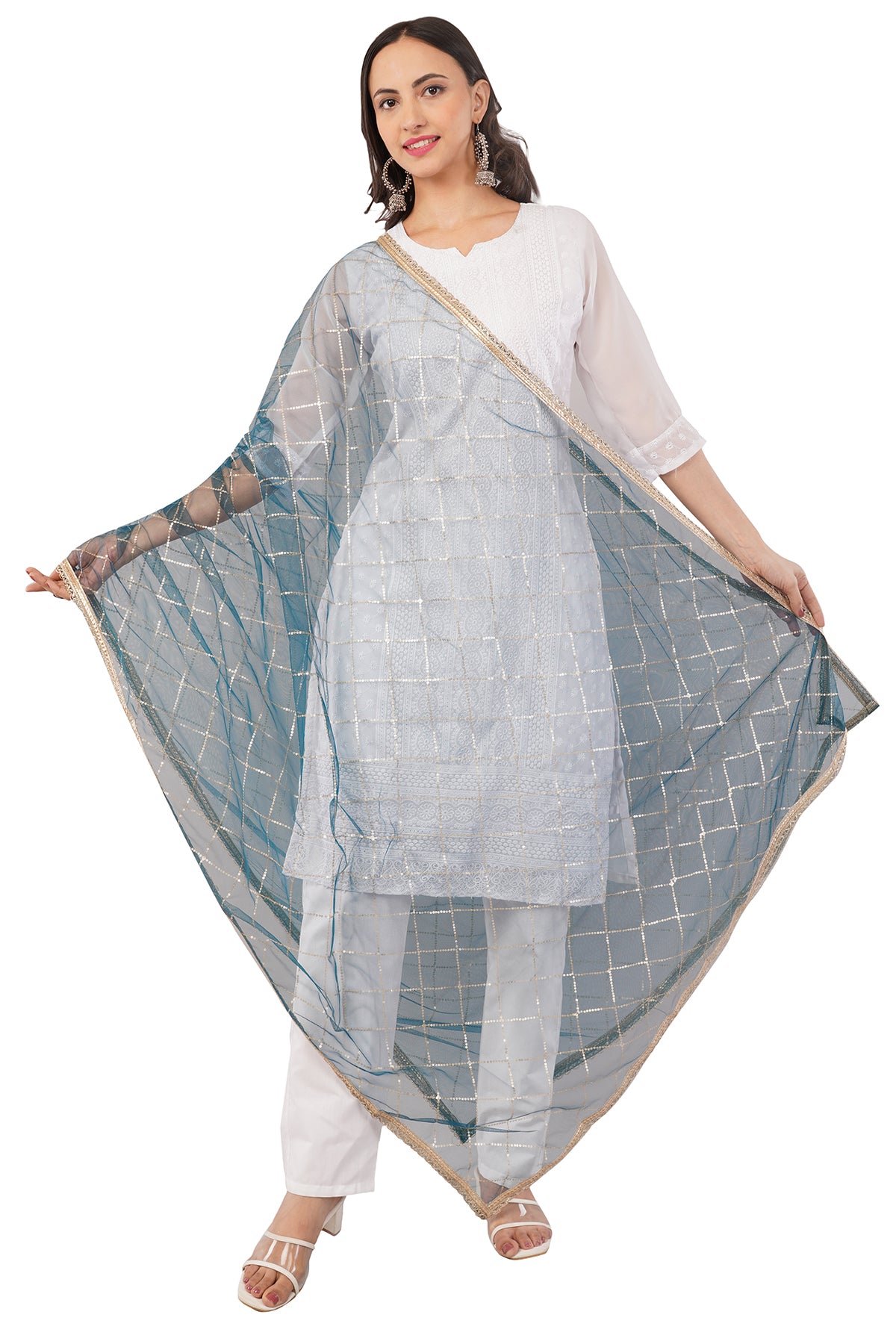 Net Sequins Chex Dupatta (NB10) - Negchaar