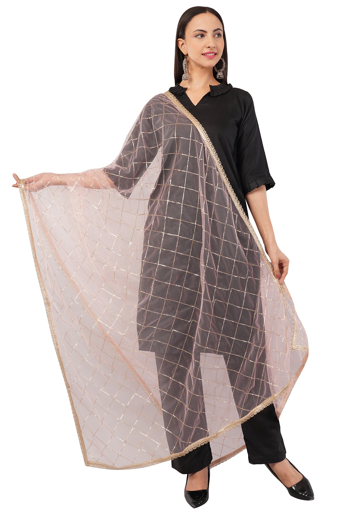 Net Sequins Chex Dupatta (NB7) - Negchaar