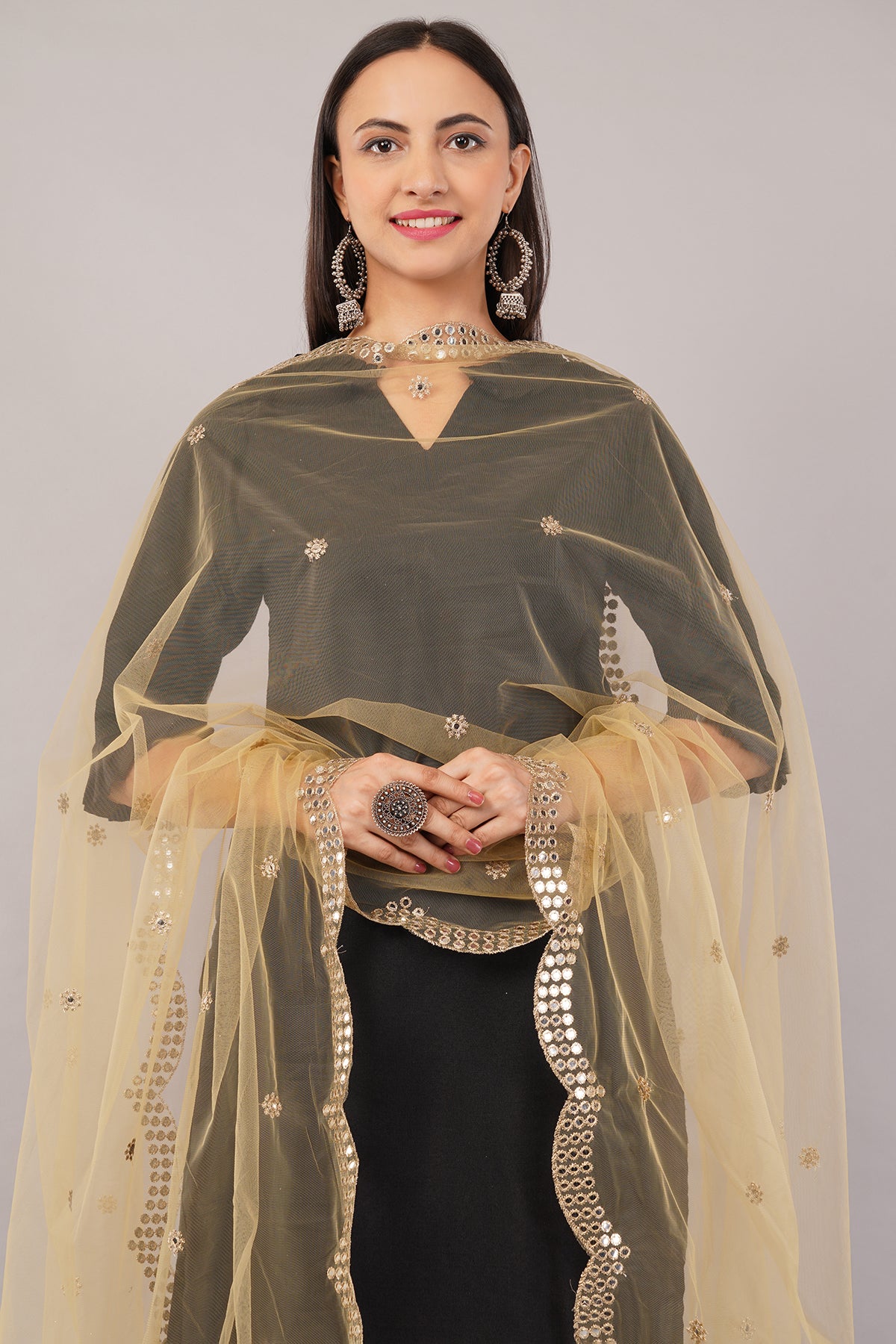 NET CUTWORK DUPATTA (Beige) NC3- NEGCHAAR