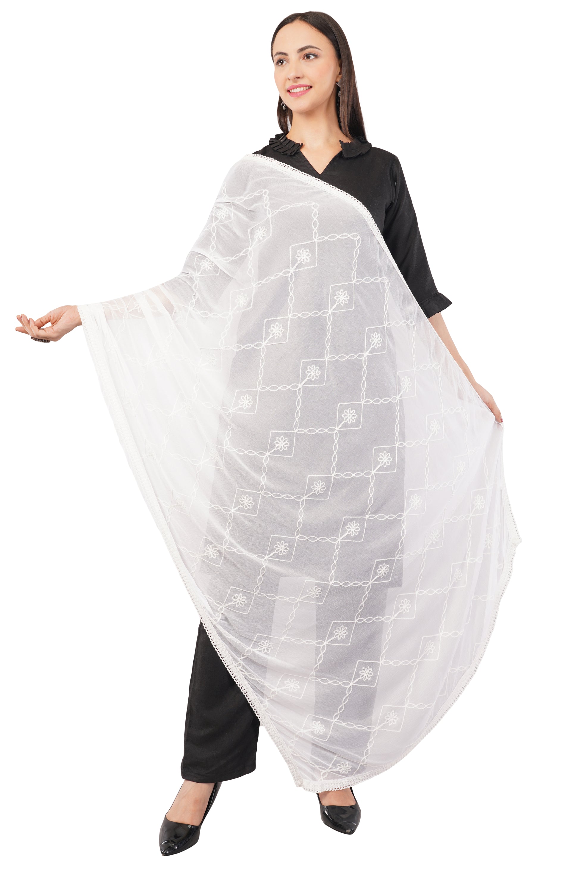 Nazneen Chiffon Embroidered Dyeable Dupatta (ND19)