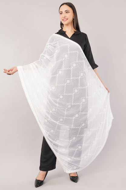Nazneen Chiffon Embroidered Dyeable Dupatta (ND19)
