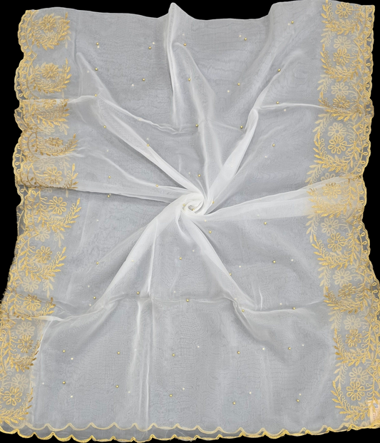 Organza Dupatta with Gold Border – Sheer Lightweight Dupatta for Women | Custom Dyeable