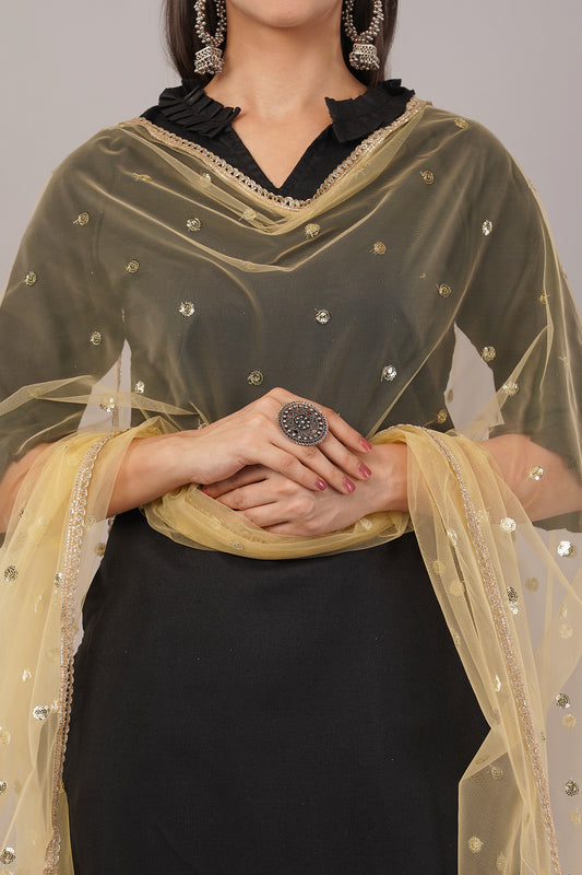 Net Sequins Butti Dupatta (NBD3) - Negchaar