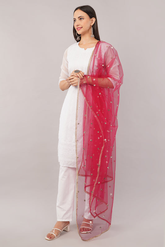 Net Sequins Butti Dupatta (NBD10) - Negchaar