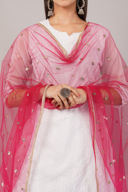 Net Sequins Butti Dupatta (NBD10) - Negchaar