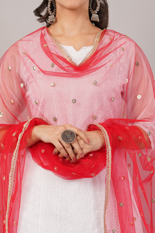 Net Sequins Butti Dupatta (NBD6) - Negchaar