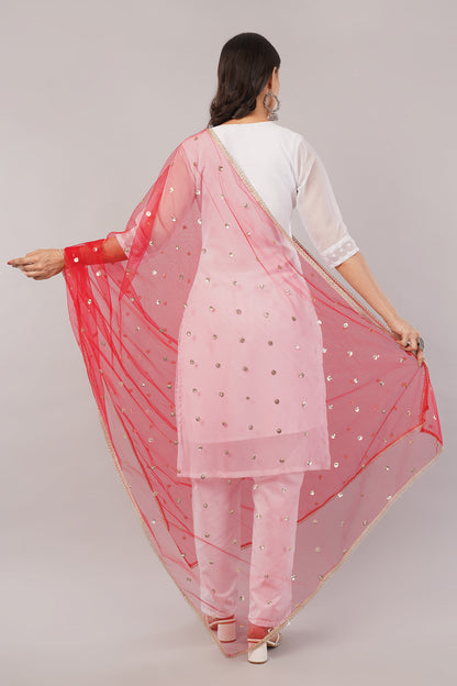 Net Sequins Butti Dupatta (NBD6) - Negchaar