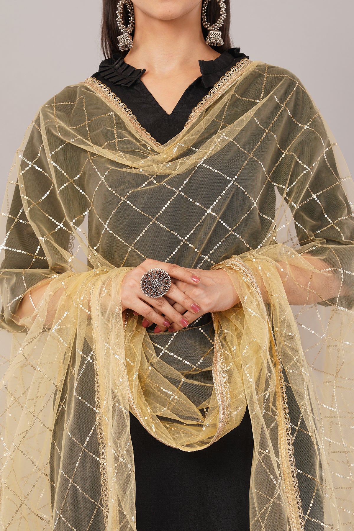 Net Sequins Chex Dupatta (NB2) - Negchaar