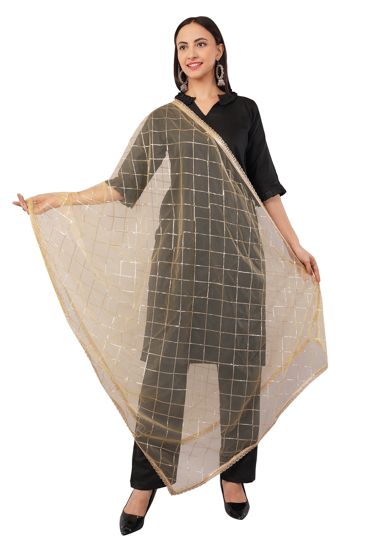 Net Sequins Chex Dupatta (NB2) - Negchaar