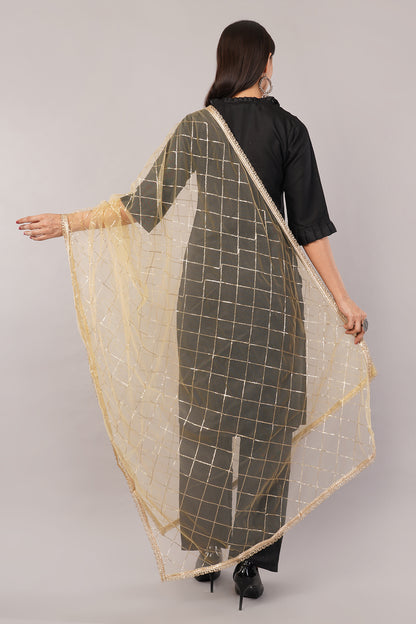 Net Sequins Chex Dupatta (NB2) - Negchaar