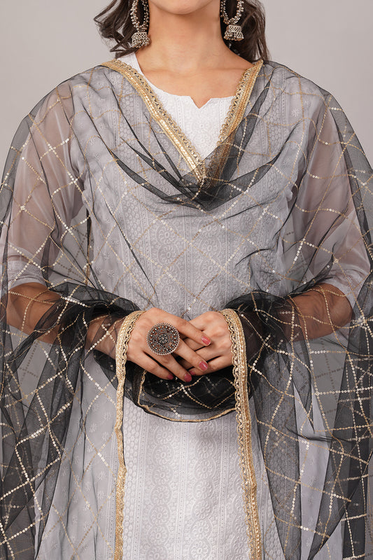 Net Sequins Chex Dupatta (NB4) - Negchaar