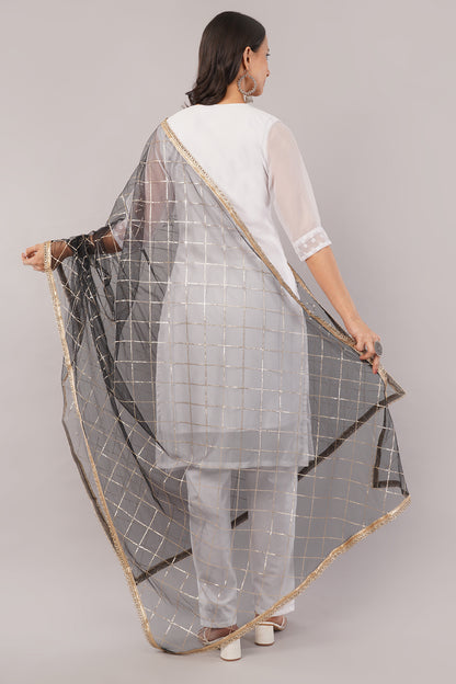 Net Sequins Chex Dupatta (NB4) - Negchaar