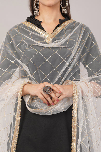 Net Sequins Chex Dupatta (NB8) - Negchaar