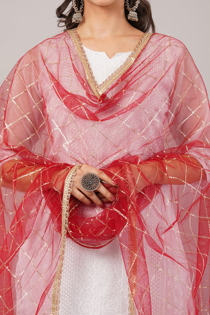 Net Sequins Chex Dupatta (NB3) - Negchaar