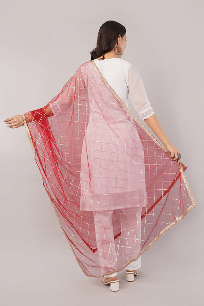 Net Sequins Chex Dupatta (NB3) - Negchaar