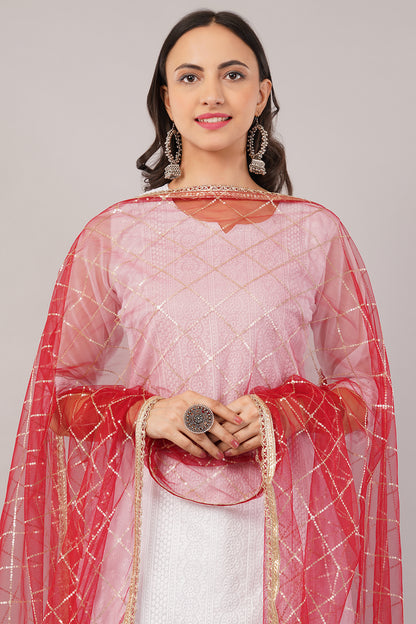 Net Sequins Chex Dupatta (NB3) - Negchaar
