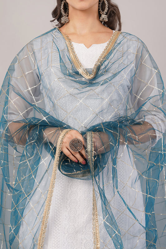 Net Sequins Chex Dupatta (NB10) - Negchaar