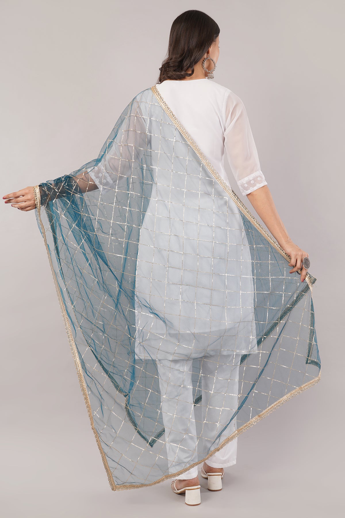 Net Sequins Chex Dupatta (NB10) - Negchaar