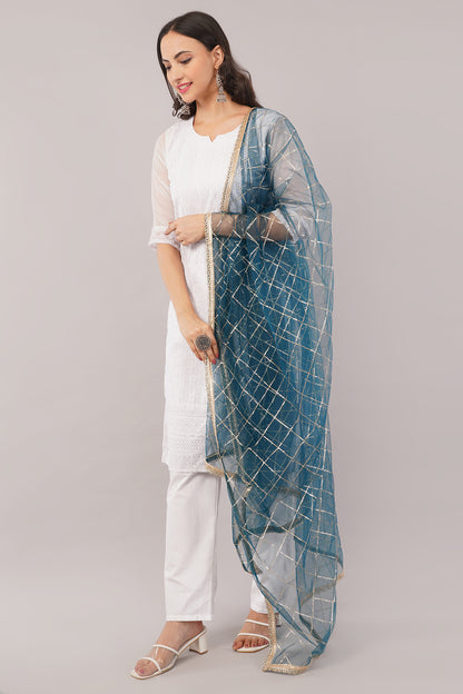 Net Sequins Chex Dupatta (NB10) - Negchaar