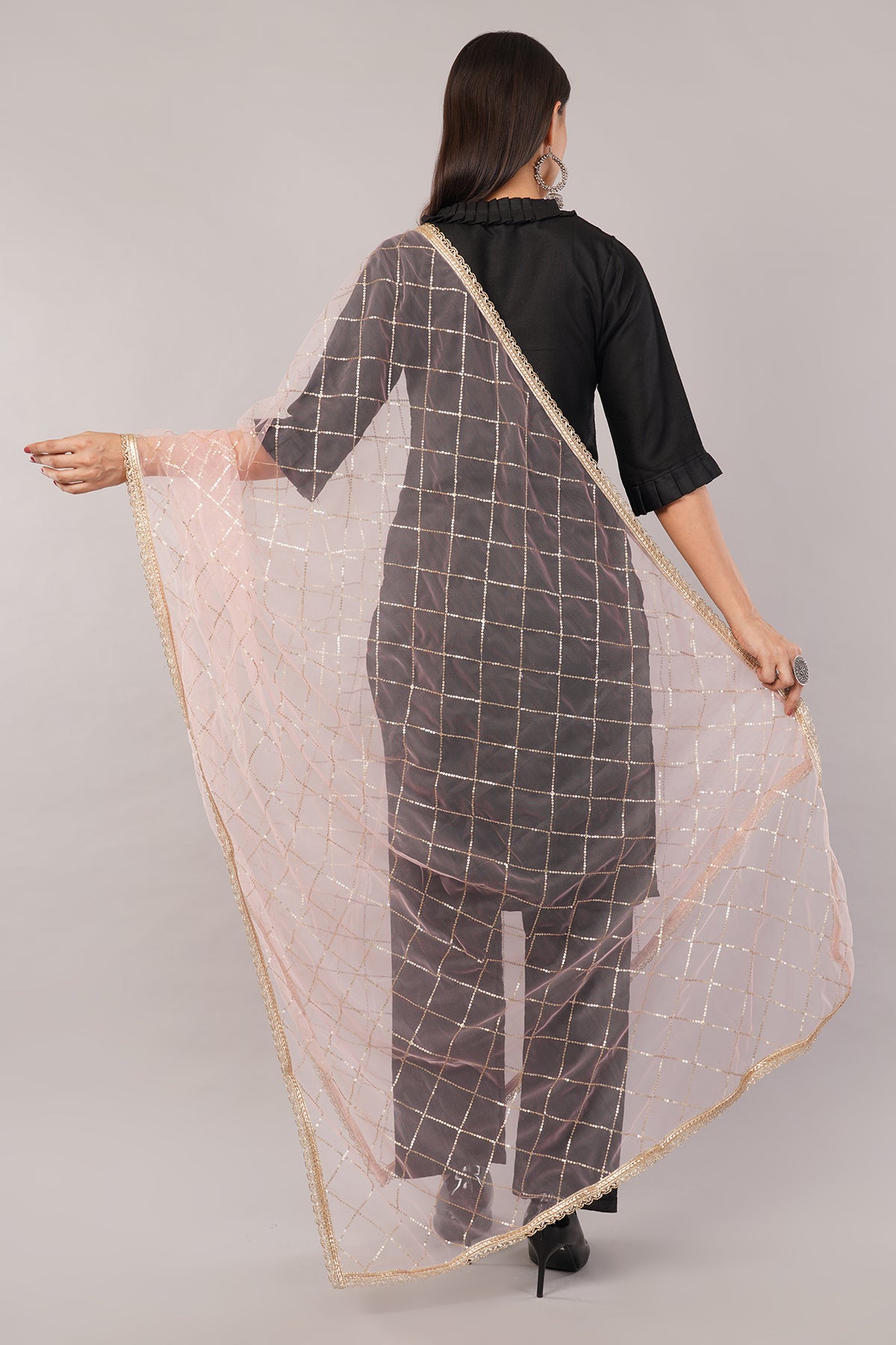 Net Sequins Chex Dupatta (NB7) - Negchaar