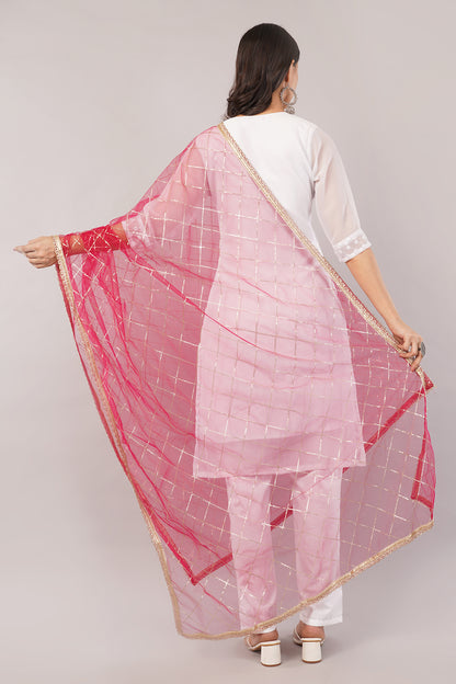 Net Sequins Chex Dupatta (NB9) - Negchaar