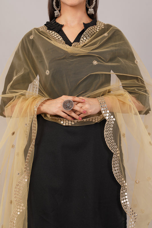 NET CUTWORK MIRROR DUPATTA (BEIGE) NC3- NEGCHAAR